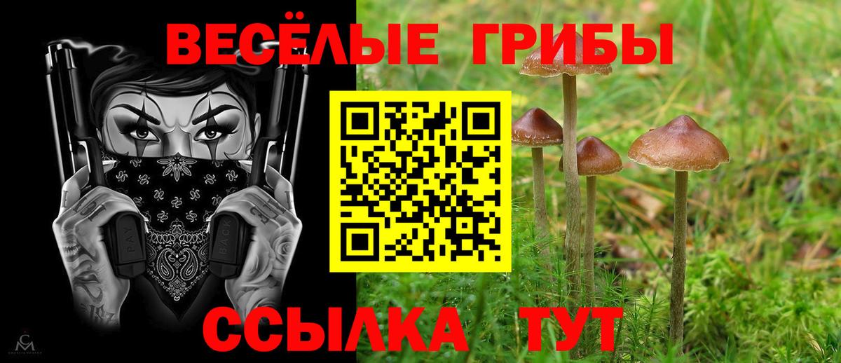 Псилоцибиновые грибы ЛСД  Вход с VPN  Новоалександровск 